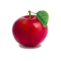 [SCT0101] Apple