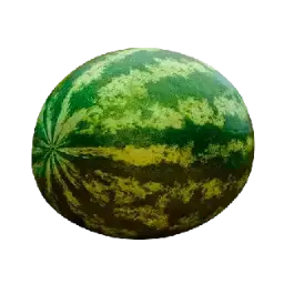 [SCT0102] watermelon